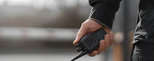 imagen-Seguridad-y-Vigilancia